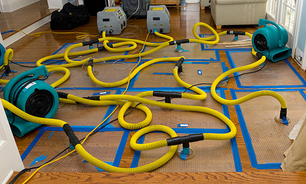 Professional Sewage Cleanup technician working in Keego Harbor, MI